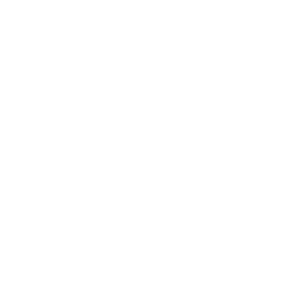 icon-Systeemeigenschappen-en-gebruikscondities